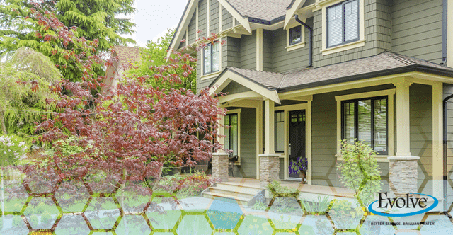 Home in Summer Home in Summer