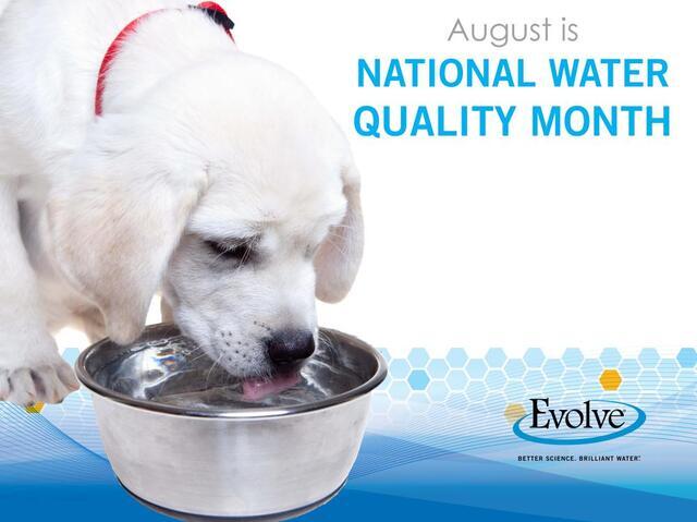 August is National Water Quality Safety Month
