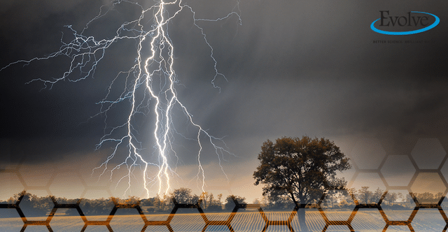 The O3Zone Generator: Creating Ozone out of Thin Air