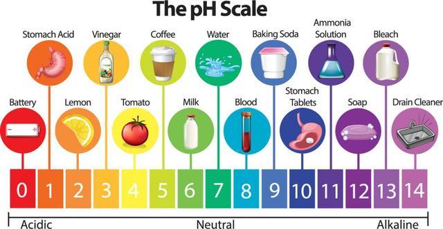 pH Scale