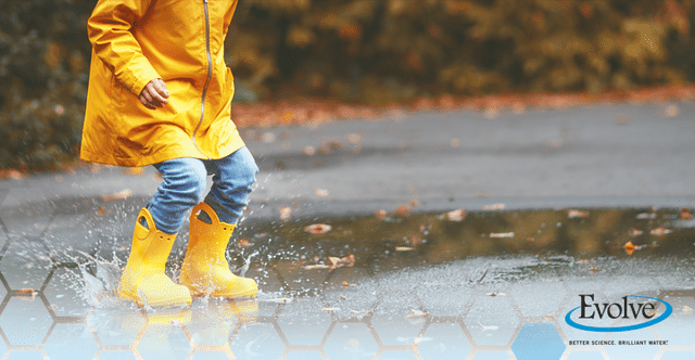 Is Your Water Changing with the Seasons?