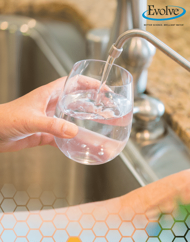 Reverse Osmosis Faucet